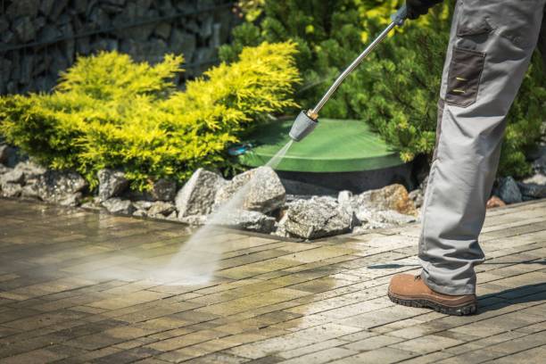 Best Driveway Pressure Washing  in Sebring, FL