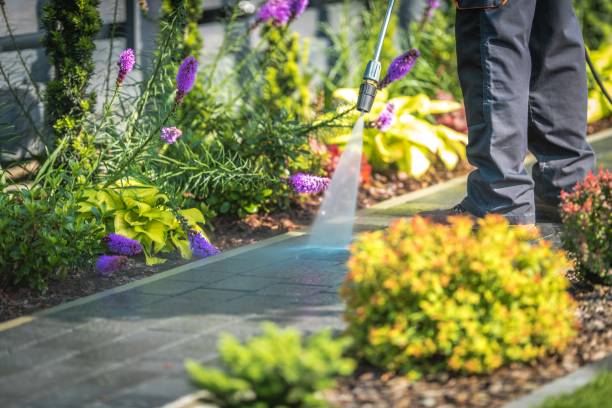Best Restaurant Pressure Washing  in Sebring, FL